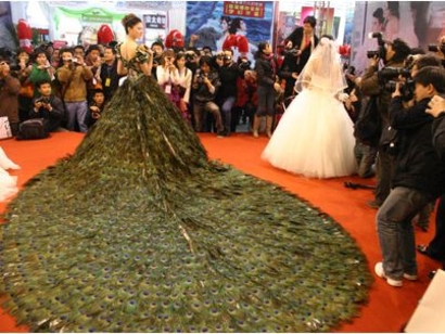 It should be a tux made out of peacock feathers I would totally rock that It should be a tux made out of peacock feathers I would totally rock that