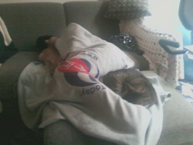 Cats and Dogs Sleeping Together!