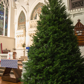 Advent Lutheran Church with the Sanctuary Tree