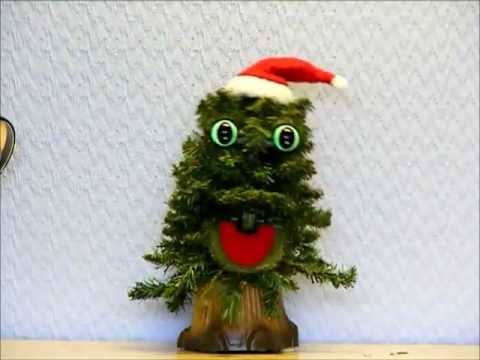 Children’s Sermon: Evergreen (and a dancing tree)